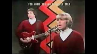Electric Prunes - I had too much to dream last night chords
