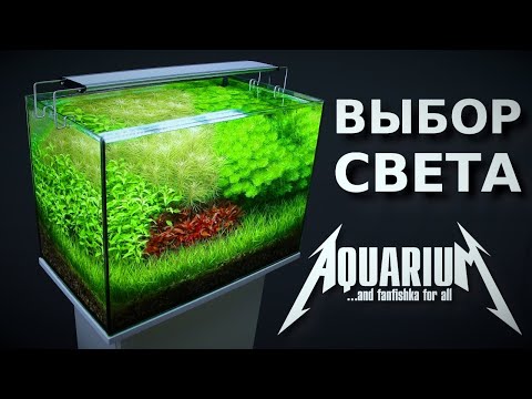 Видео: 6 Популярные аквариумные рыбы, которых вам нужно избегать