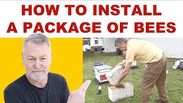 Bijenhouden | TIPS voor het installeren van een bijenpakket