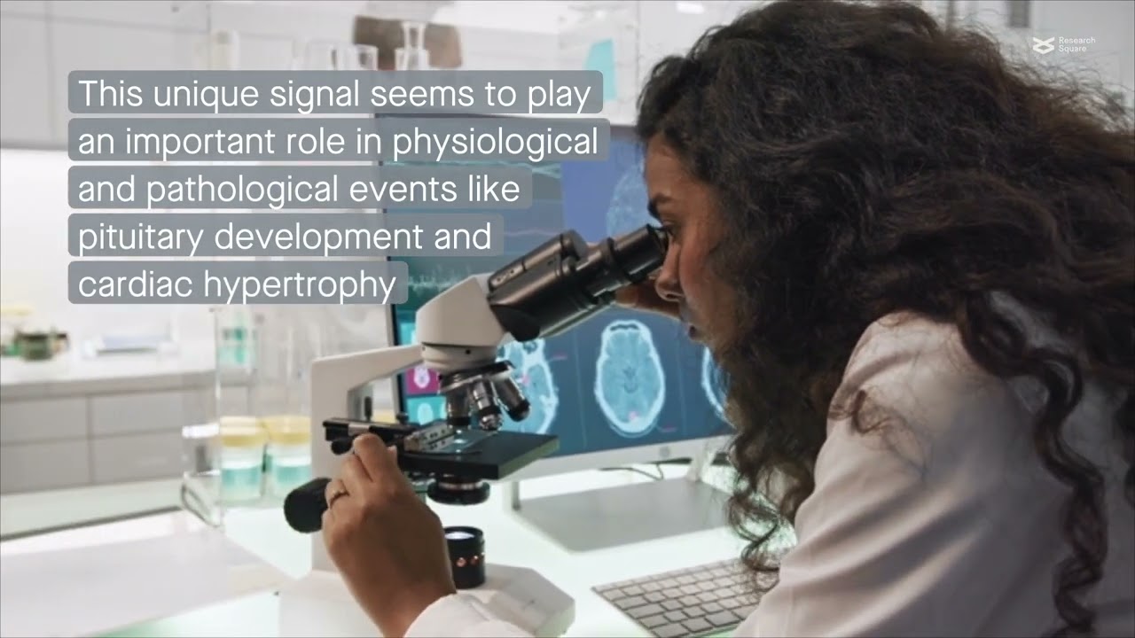 AKT inactivation mediated by a PP2A switch after GqPCR activation