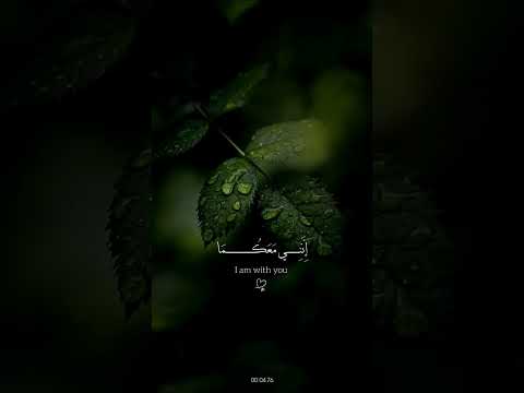 اكتب شيئا تؤجر عليه