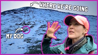 I should NOT have done this with my DOG (Brecon Beacons S3 Pt12) Hay Bluff | VLOG 18