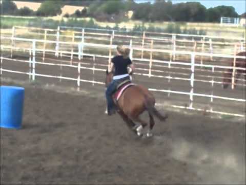 Come cadere da cavallo correttamente.