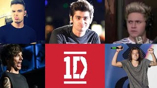 One Direction being 1D for 7 minutes