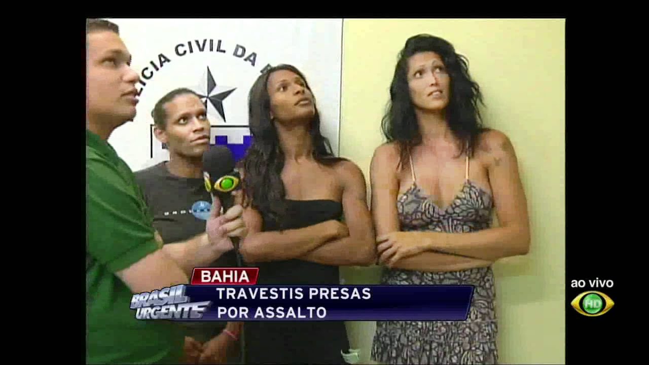 Búsquedas Favoritas