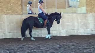 Morgan Black & Veera