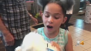 Teddy Bear Patrol Makes Kids Comfortable With Medical Environment