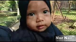 petualangan kebun binatang Part 2