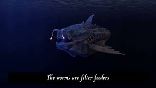Unveiling the Mysteries of the Deep Sea: The Abyssal Zone