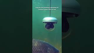 🐟 What’s Hiding Down There? Read the Water Like a Pro with Smart Sonar