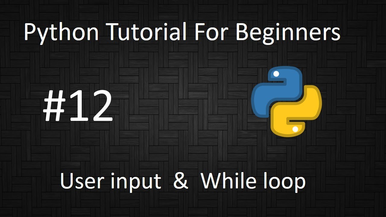 Python Tutorial For Beginners 12 | User input and while loop - YouTube