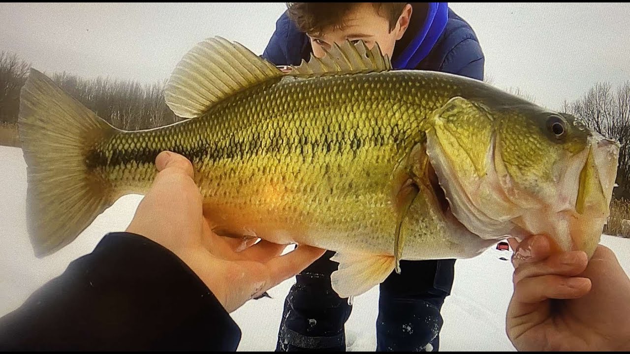 HUGE Bass Through the Ice (Part 2) YouTube