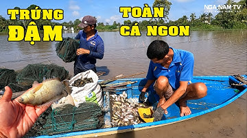 Bắt Cá Bằng 12 Cửa Ngục Võ Tòng Trúng Cá Thấy Mê P.2/CATCH THE FISH/NGÃ NĂM TV