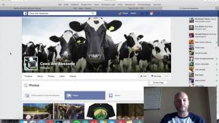 Shopify Case Study Part 3 - Email Backend & Social Media