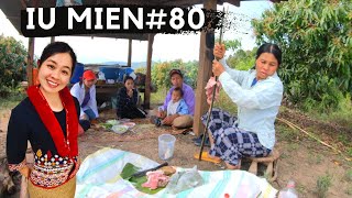 Iu Mien Thailand EP80 | Cook Iu Mien food at the mango farm