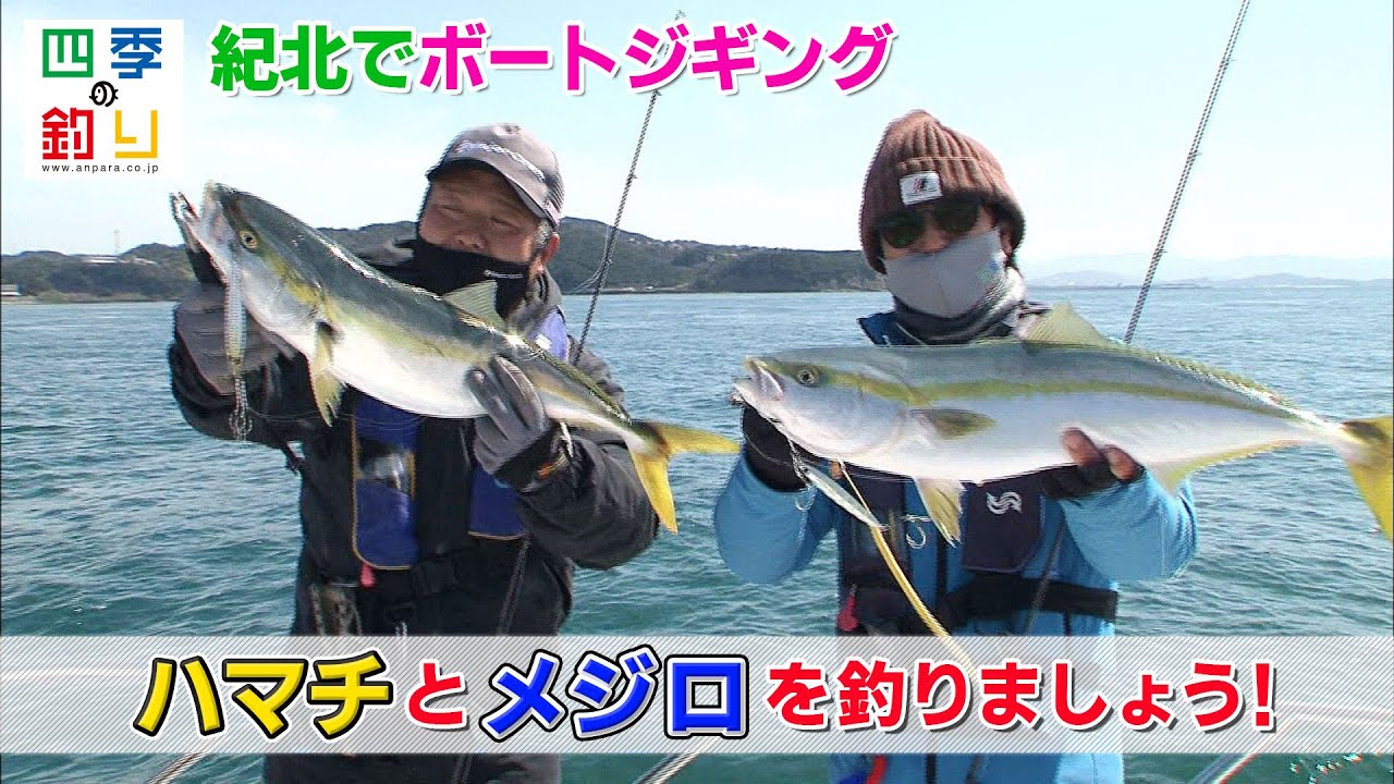 紀北でボートジギング ハマチとメジロを釣りましょう！（四季の釣り