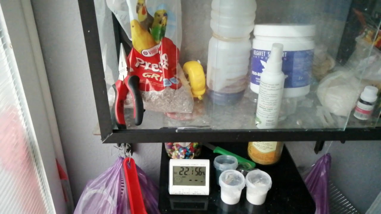 بعض الحلول لمشكل الرطوبة المرتفعة