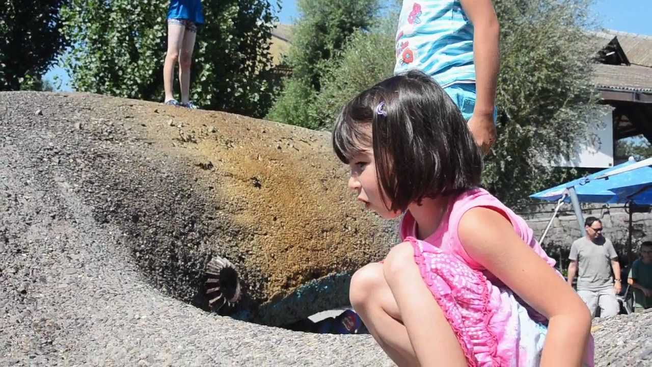 Kinderzoo Rapperswil