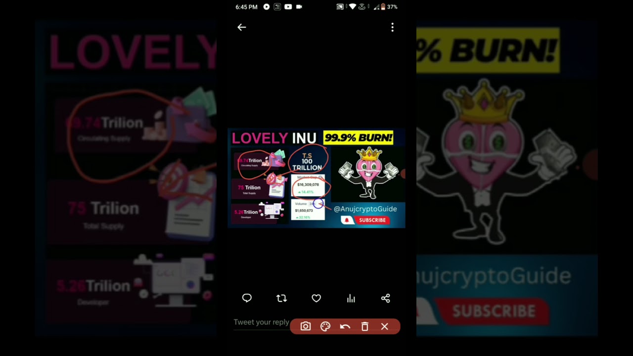 Lovely Inu coin News today | Lovely Inu 1$ soon🤑 | lovely inu updates 