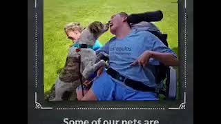 IMG953204