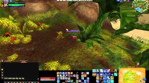 WoW Daily: Appeasing the Great Rain Stone