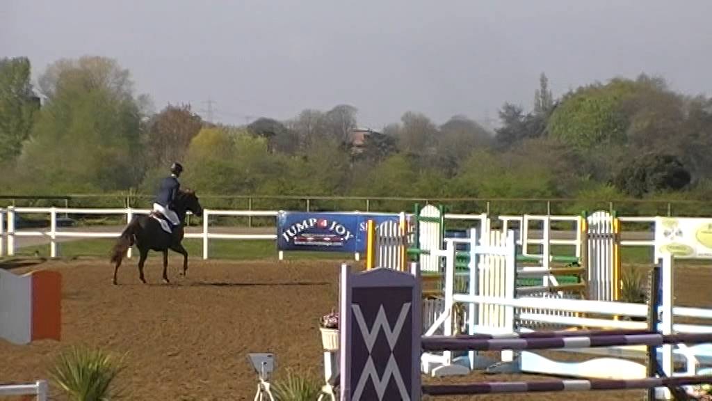 CALISTA IV- 5 YEAR OLD D/C