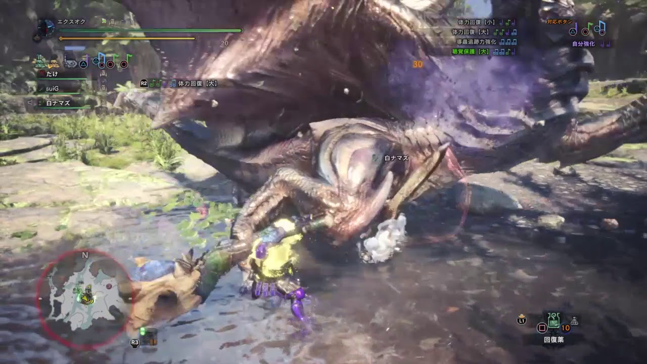 クシャルダオラ最小金冠 Youtube