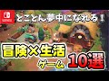 Switch 両方楽しめる ついつい夢中になってしまう 冒険 生活ゲームを10選紹介
