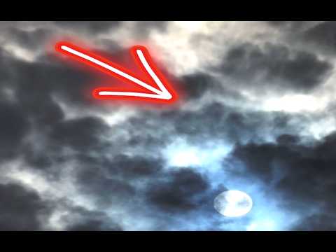 Whatever it was it came out of NOWHERE!! Witness shocked!