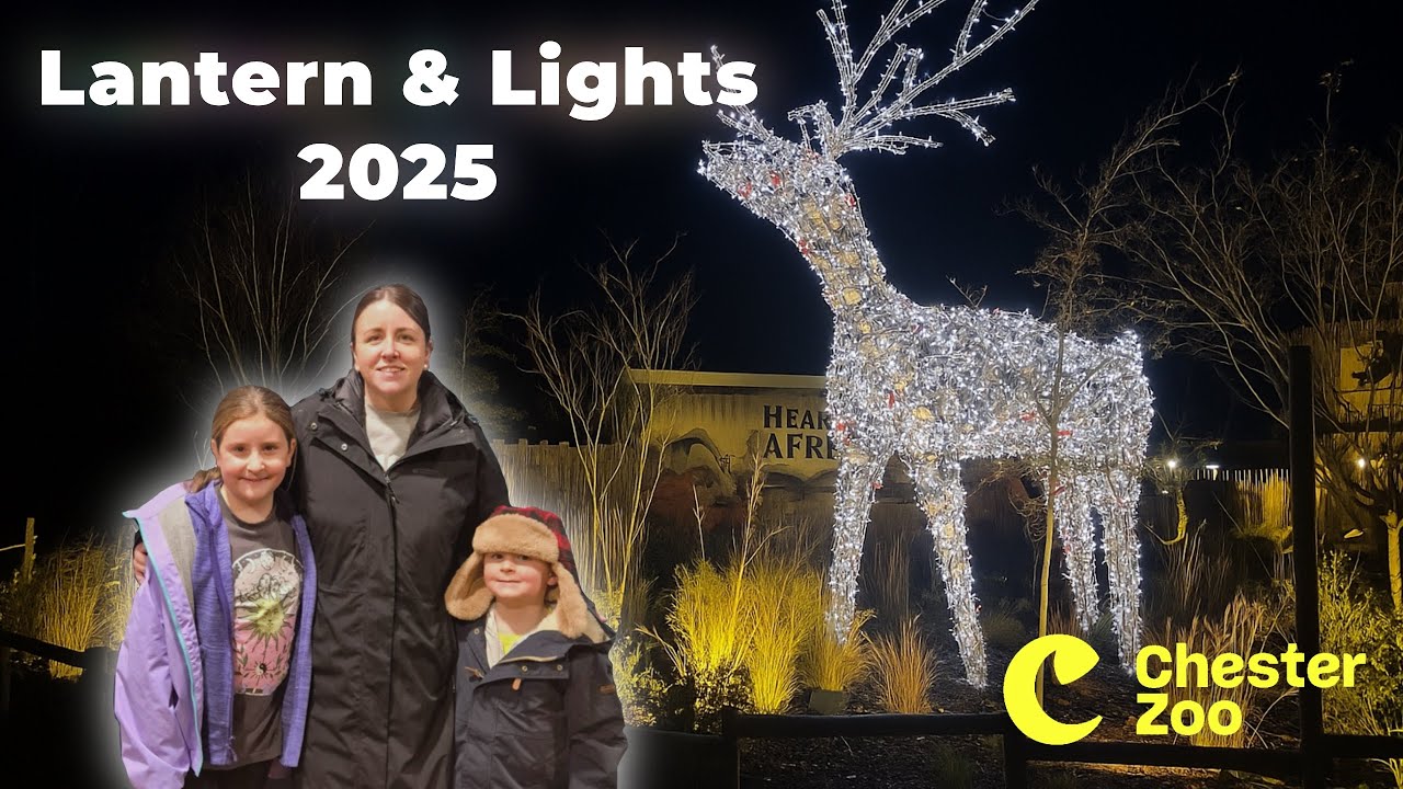 FIRST LOOK at Chester Zoo Lanterns & Light! Magical Night, Food, Lasers & Santa! 