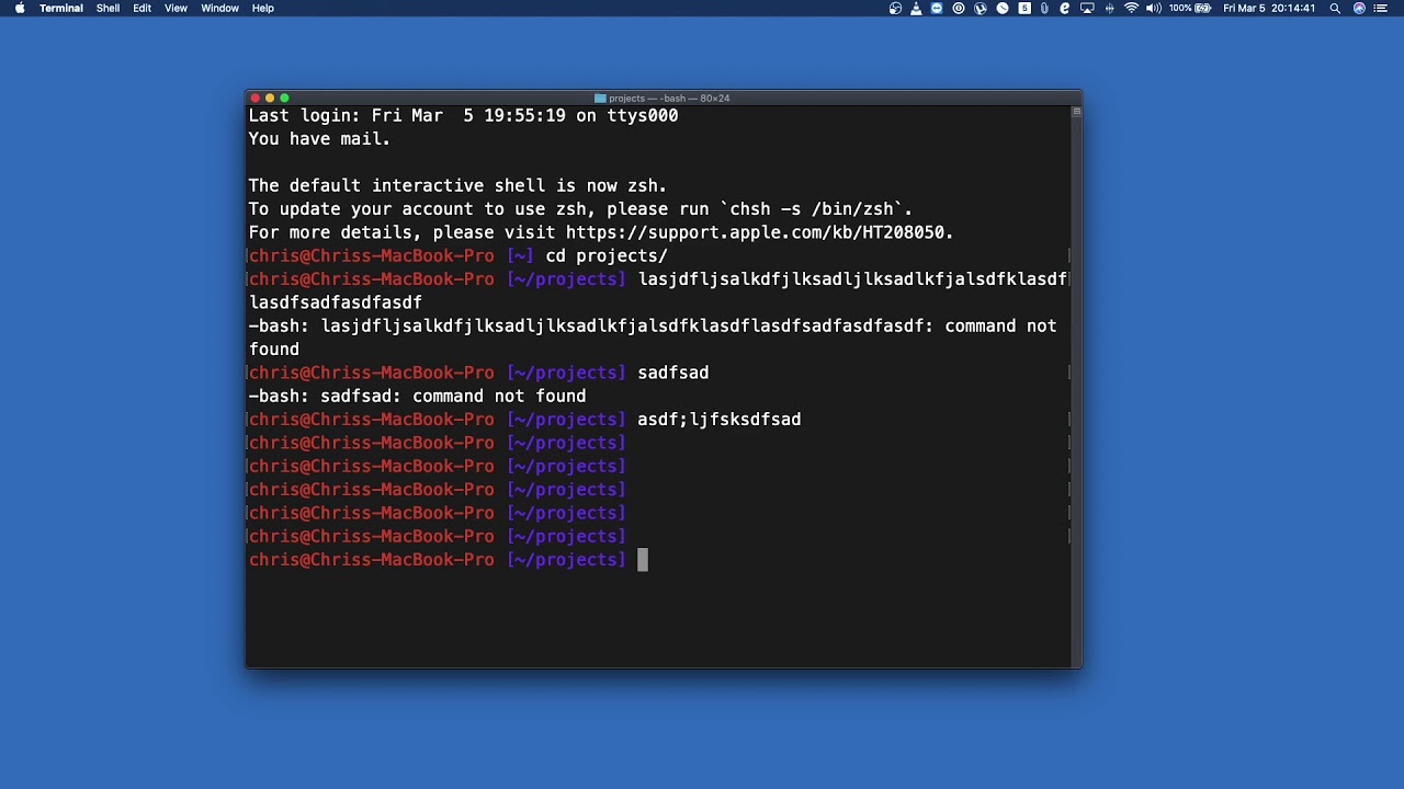 Bash From Beginner to Expert - Lesson 3 - The Basics of a Terminal and How to Interact With One