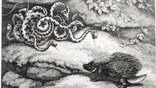 Learn English through Story | The Porcupine and the Snakes | Aesop's Fables | English Story