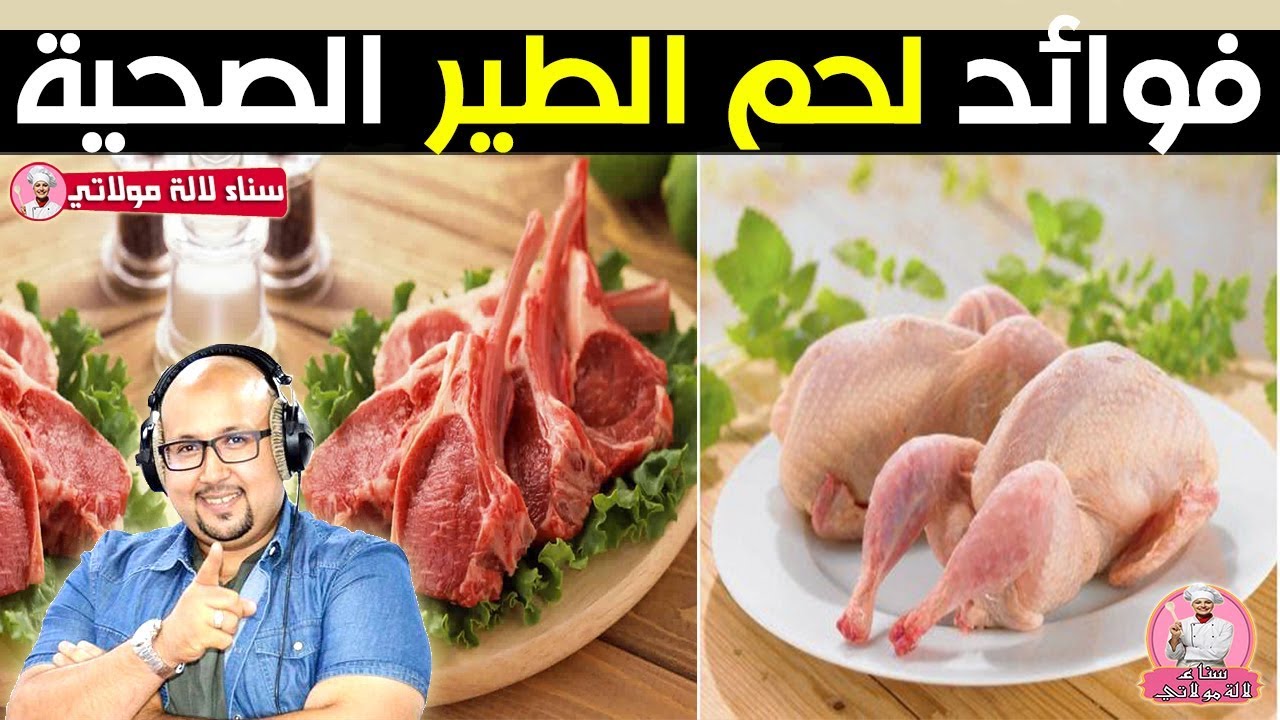 فوائد لحم الإبل او الجمل لن تصدق الامراض التى يعالجها مع الدكتور عماد ميزاب Dr Imad Mizab Youtube