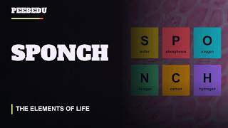 SPONCH  | Biology Song About the Elements That Make Up Living Things