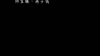 20150123 PIC尾牙 CVS 表演謝幕影片