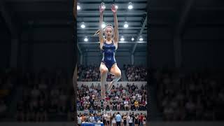 Ai Diver Delivers A Stunning Performance - Ai Sports Diving