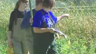 Famous Selecting the vegetation survey area (WHEP) Wealth