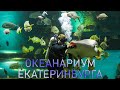 Океанариум Екатеринбурга | Ураловед