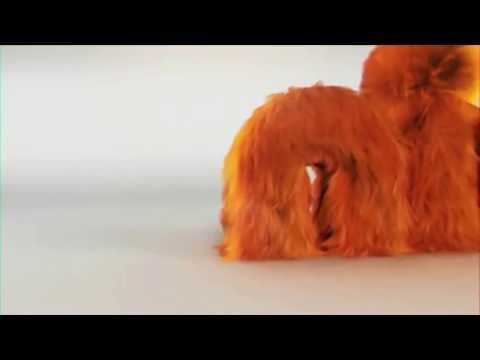 Nickelodeon HD Ident 4 