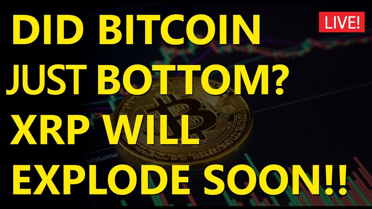 XRP is about to EXPLODE! MAJOR RIPPLE XRP UPDATE! Bitcoin & NFTs