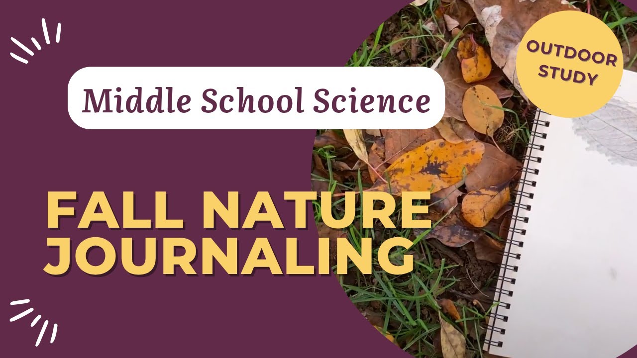 Fall Nature Journaling | Leaf Rubbings & Tree Sketches