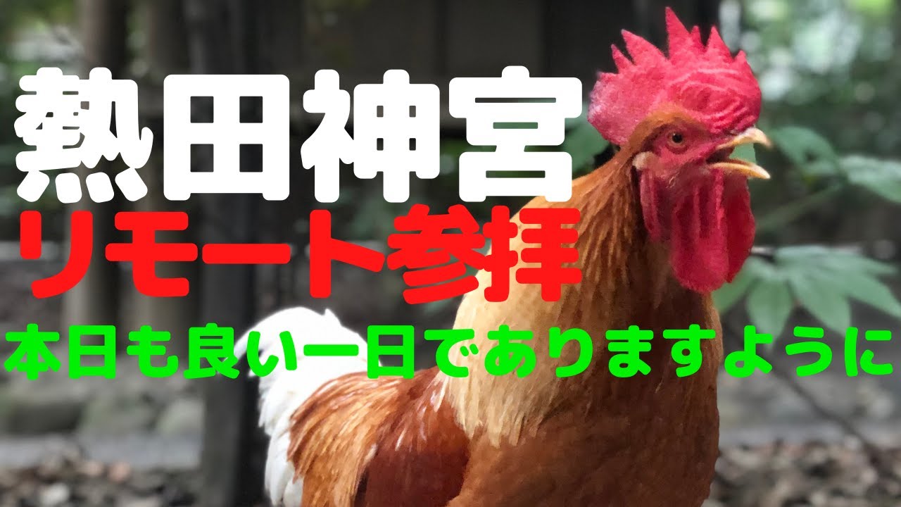 モーニングルーティン 熱田神宮リモート参拝 こんなご時世ですから 熱田神宮で毎朝参拝してみませんか きっと何かが変わるかも Youtube モーニングルーティン 熱田神宮リモート参拝 こんなご時世ですから 熱田神宮で毎朝参拝してみませんか きっと何かが変わるかも Youtube