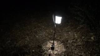Review John Timberland pathway lights
