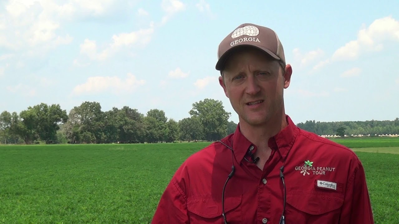 Dr. Mark Abney, UGA peanut entomologist, update at the Southeast Research &  Education Center