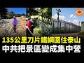 名山變禁區！泰山135公里刀片鐵絲網如集中營  背後到底想防誰？