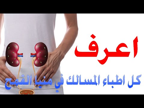 اطباء المسالك البولية منيا القمح الشرقية