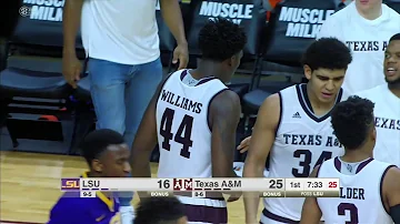 Texas a&m vs LSU Basketball Highlights 1-11-17