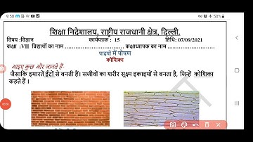 science worksheet15class7 (7/9/21) hindi medium/class7scienceworkshet15/#scienceworksheet15class7