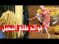 ملعقة صغيرة واحدة من طلع النخيل تقي وتعالج عدة امراض