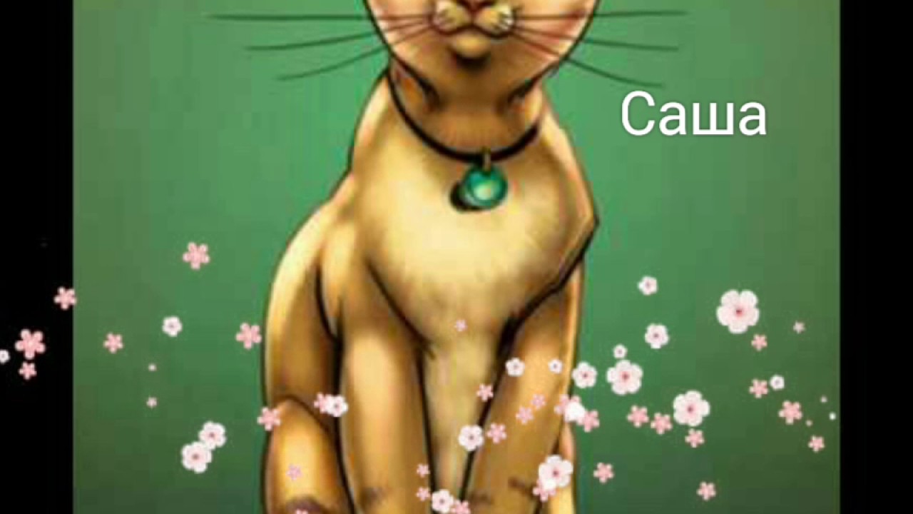 Коты Воители. Звездоцап и Саша. Чёрный Ангел